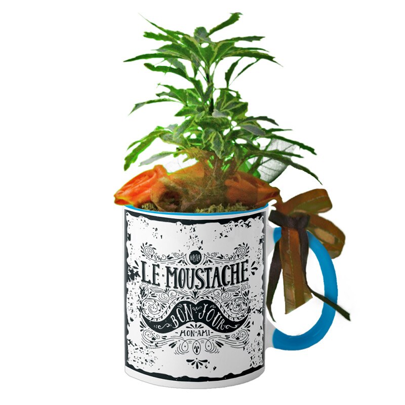 Cana interior Albastru deschis 
