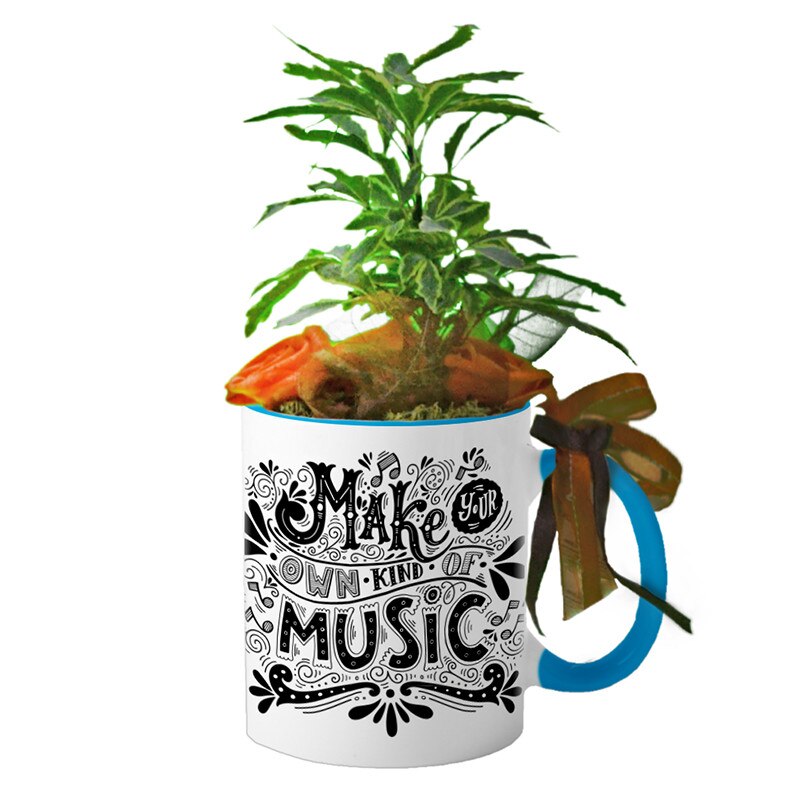 Cana interior Albastru deschis 