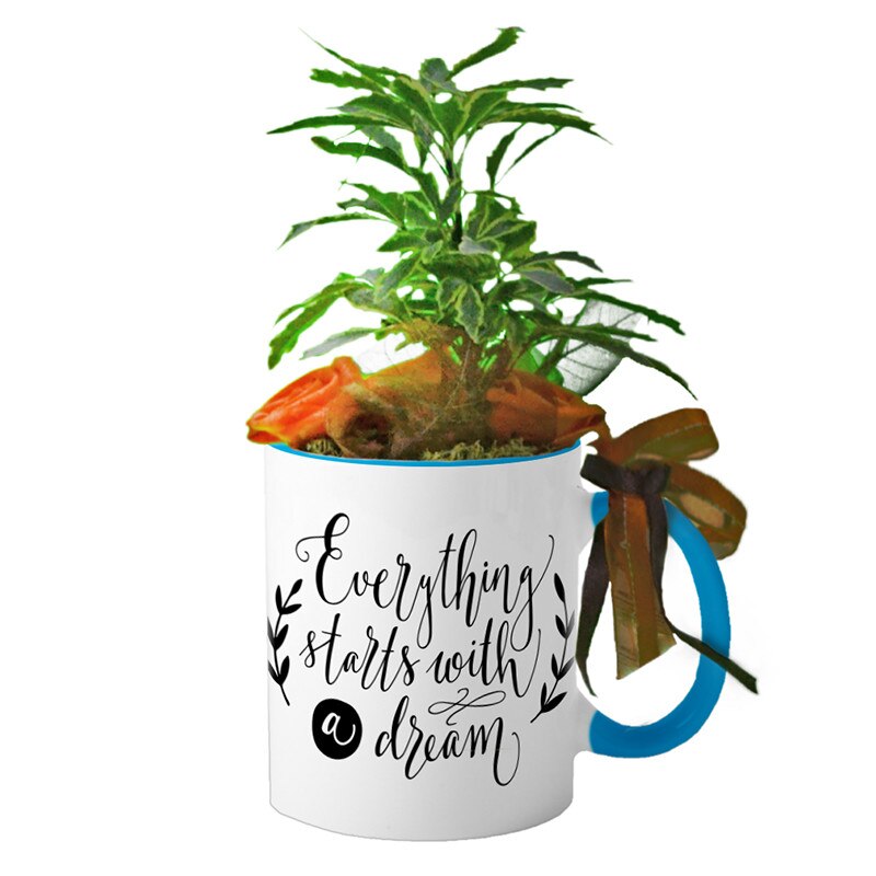 Cana interior Albastru deschis 