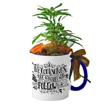 Cana interior Navy blue  Cana interior Navy blue