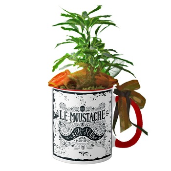 Cana interior rosu  Cana interior rosu