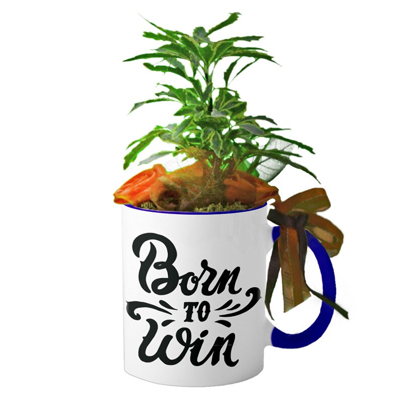 Cana interior Navy blue 