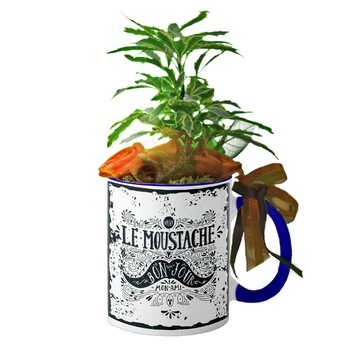 Cana interior Navy blue  Cana interior Navy blue