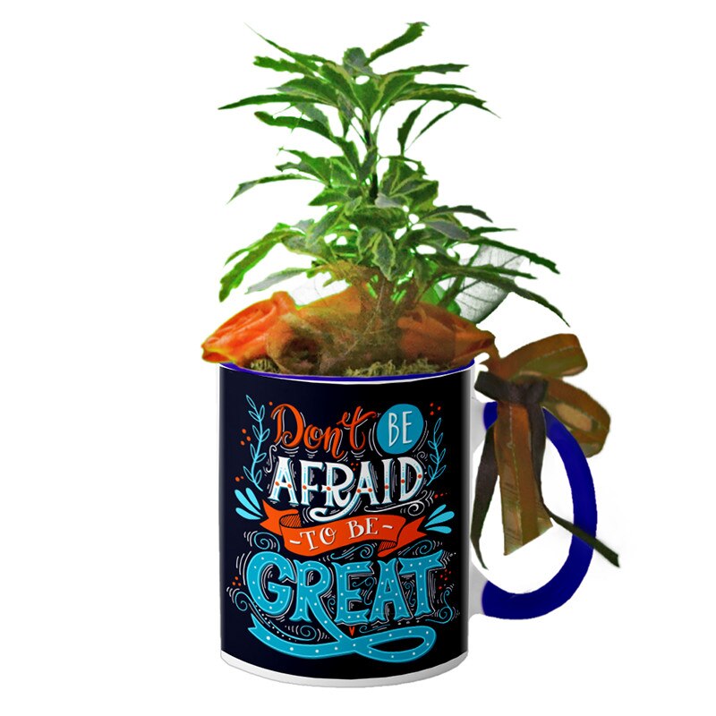 Cana interior Navy blue 