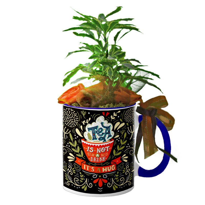 Cana interior Navy blue 