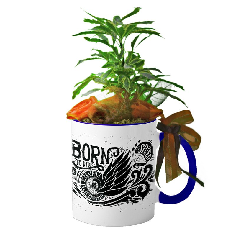 Cana interior Navy blue 