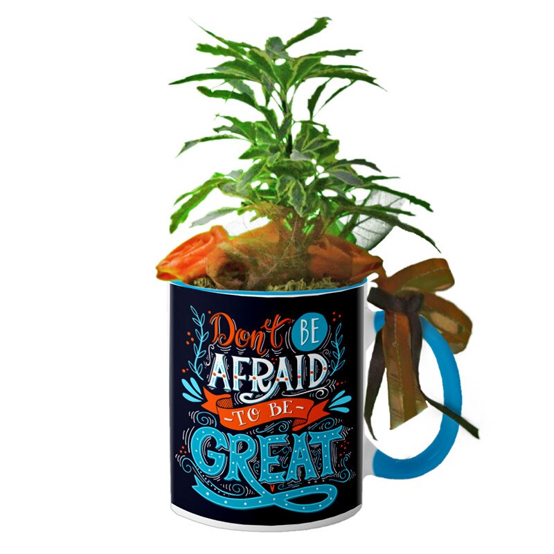 Cana interior Albastru deschis 