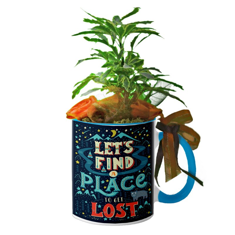 Cana interior Albastru deschis 