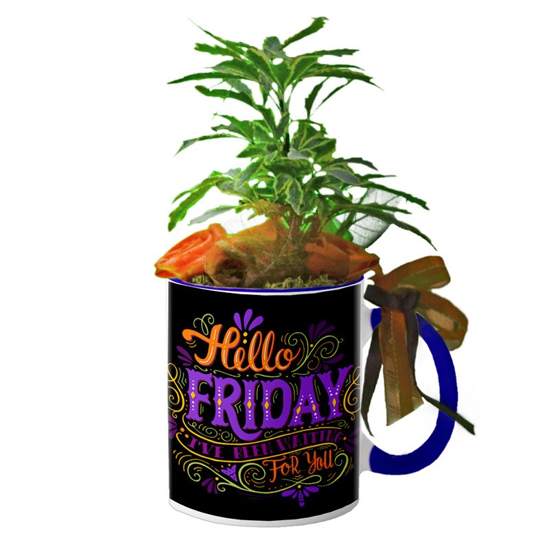 Cana interior Navy blue 