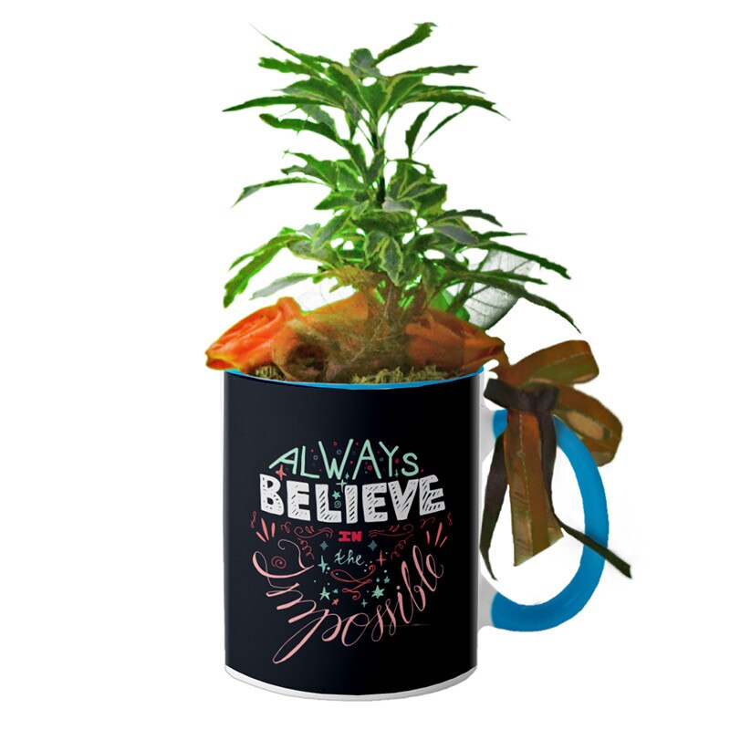 Cana interior Albastru deschis 