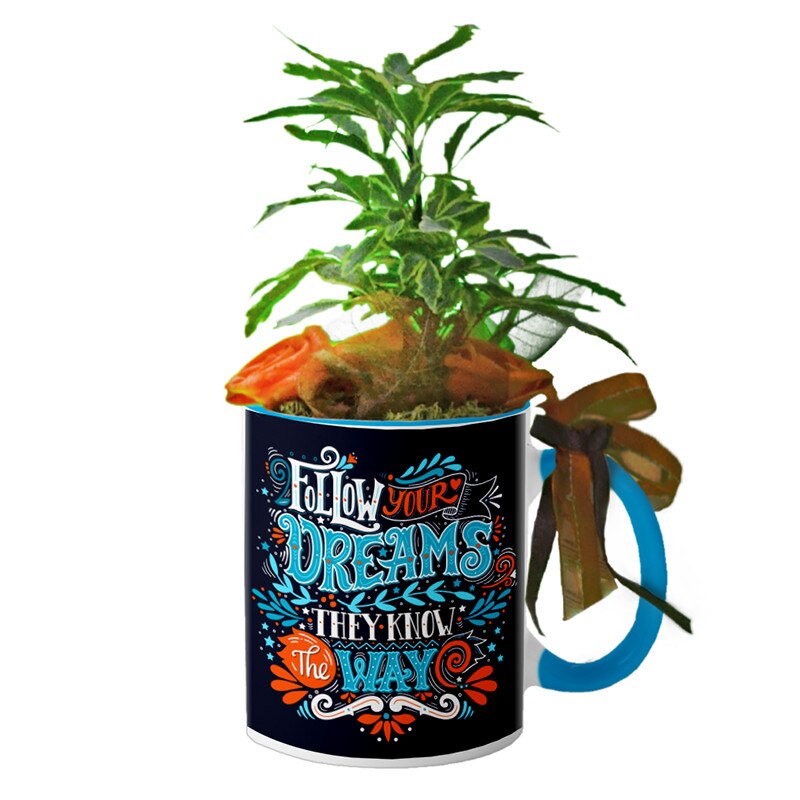 Cana interior Albastru deschis 