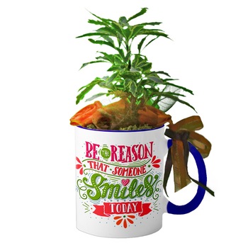 Cana interior Navy blue  Cana interior Navy blue