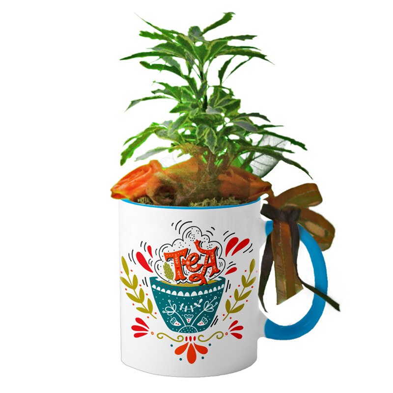 Cana interior Albastru deschis 