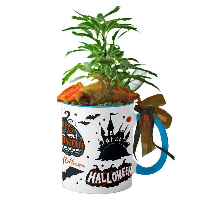 Cana interior Albastru deschis 