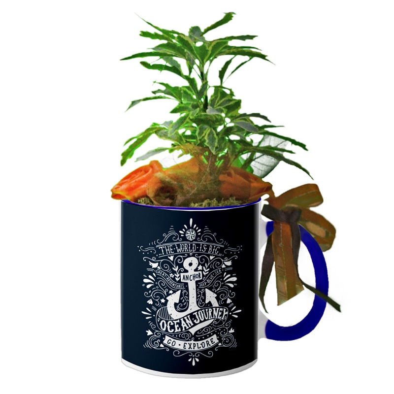 Cana interior Navy blue 
