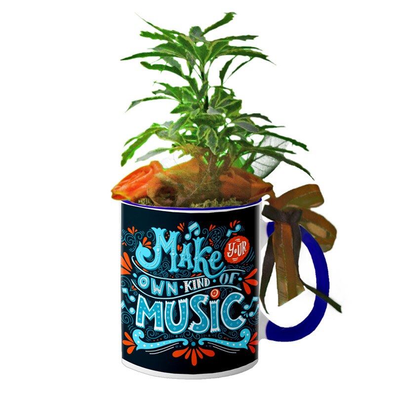 Cana interior Navy blue 