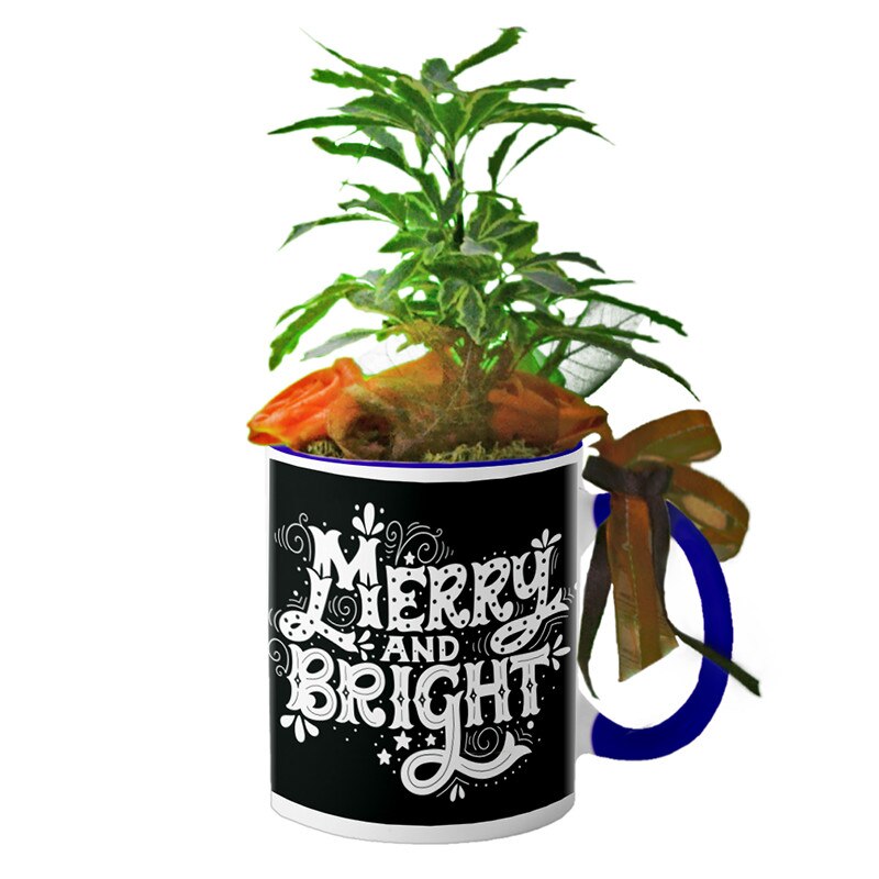 Cana interior Navy blue 