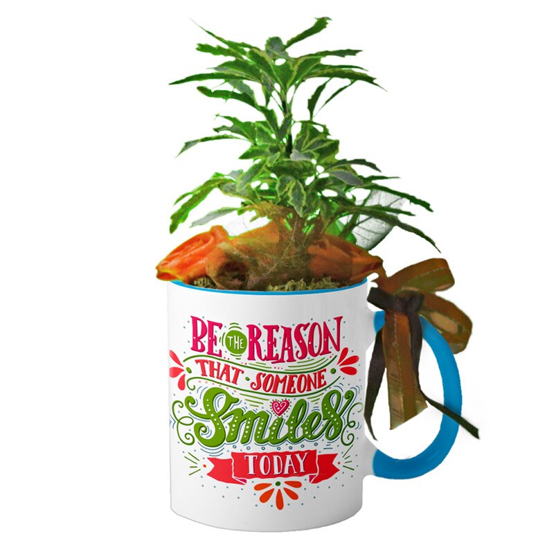 Cana interior Albastru deschis 