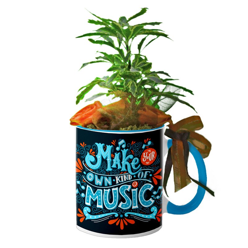 Cana interior Albastru deschis 