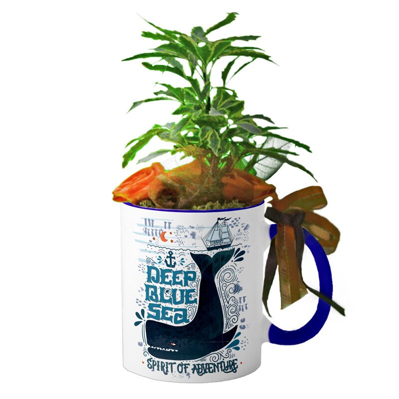 Cana interior Navy blue 