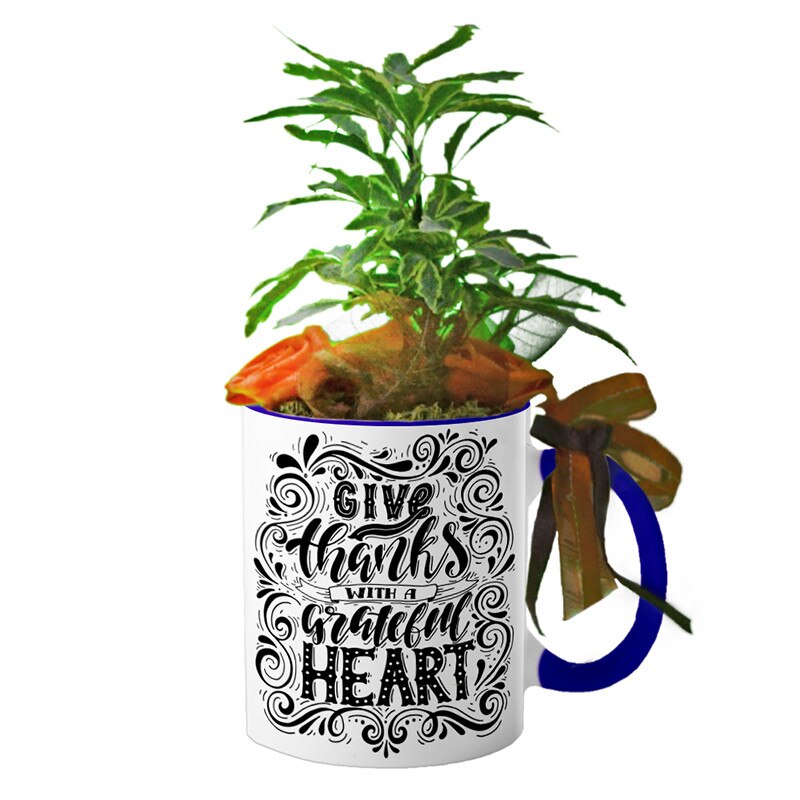 Cana interior Navy blue 