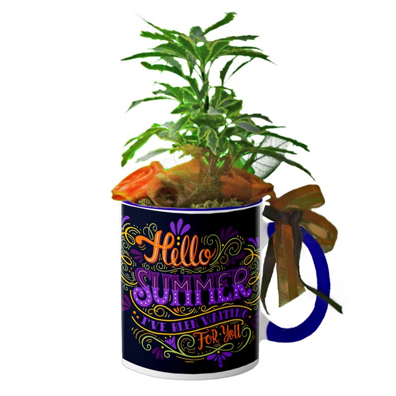 Cana interior Navy blue 