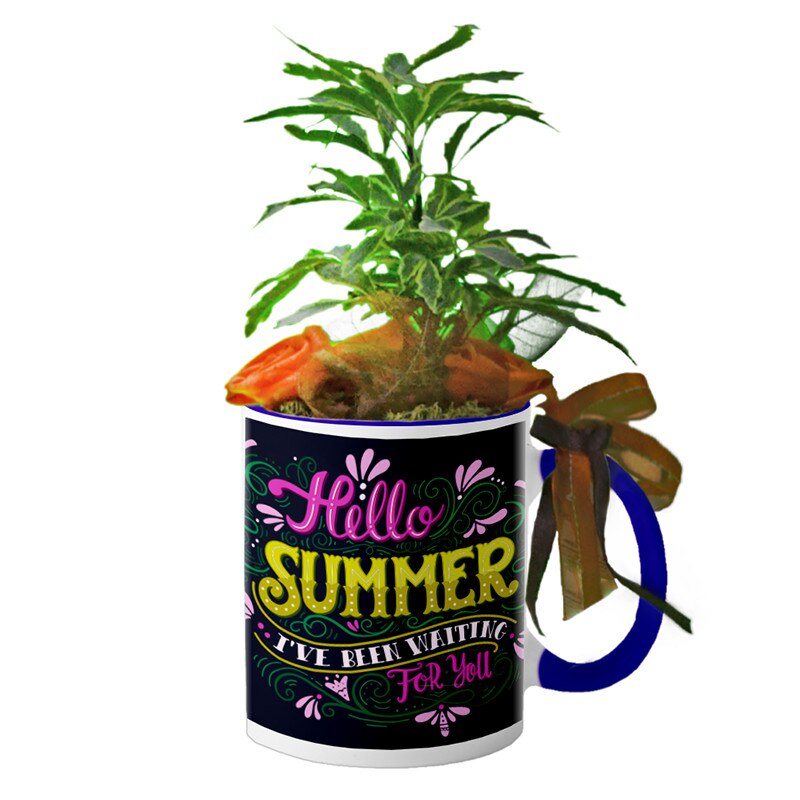 Cana interior Navy blue 