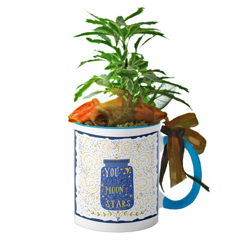 Cana interior Albastru deschis 