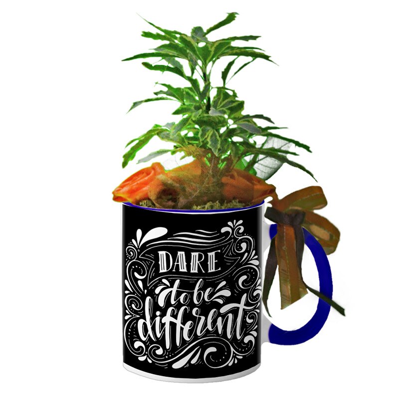 Cana interior Navy blue 