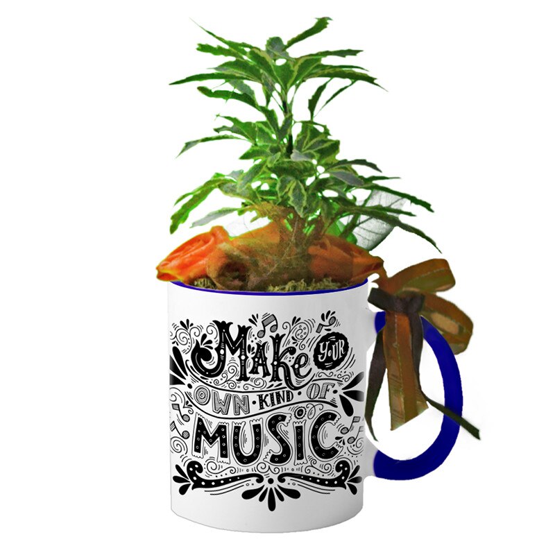 Cana interior Navy blue 