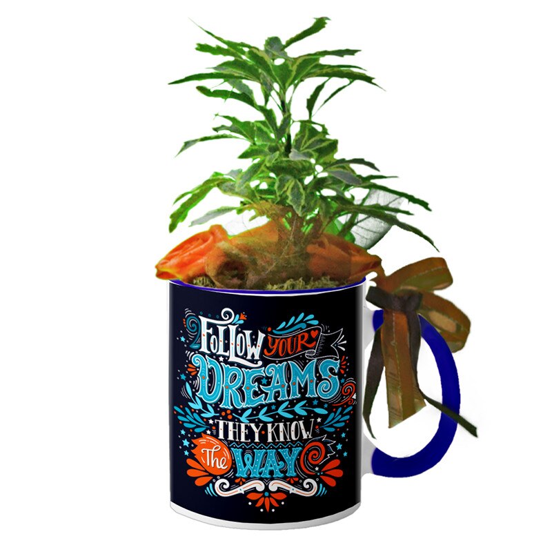 Cana interior Navy blue 