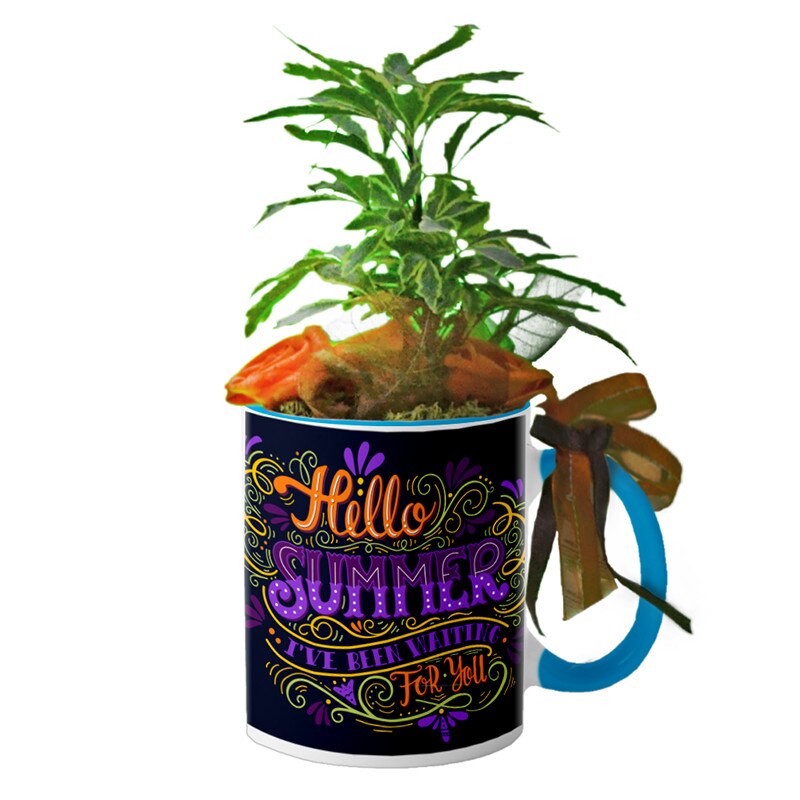 Cana interior Albastru deschis 