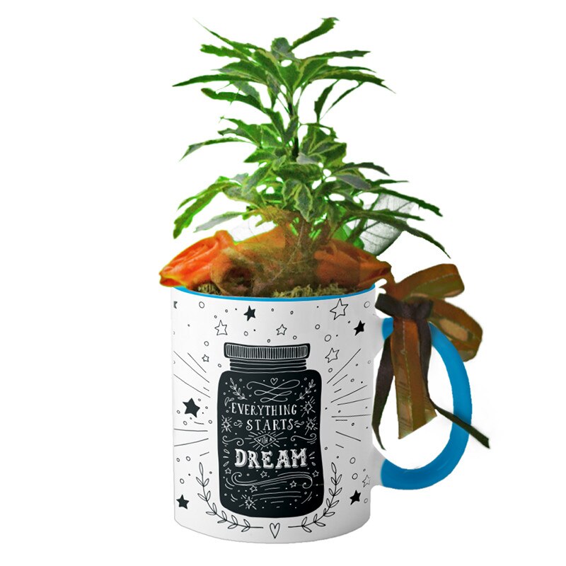 Cana interior Albastru deschis 