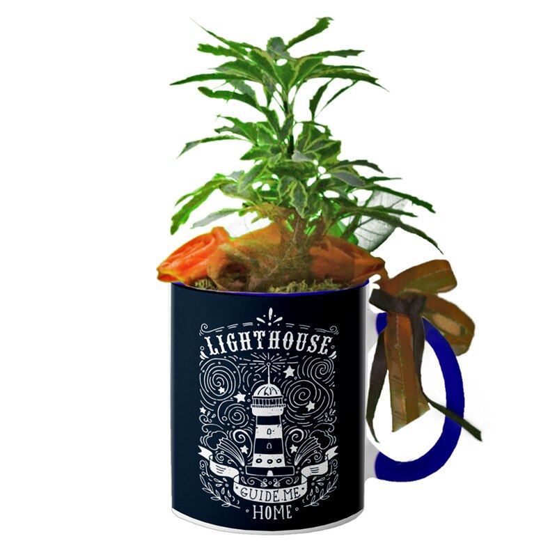 Cana interior Navy blue 