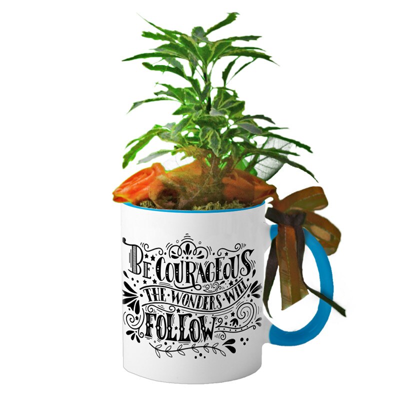 Cana Interior Albastru deschis 