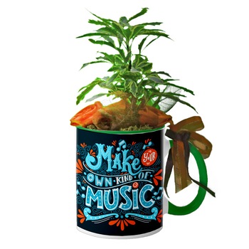 Cana Interior Verde  Cana Interior Verde