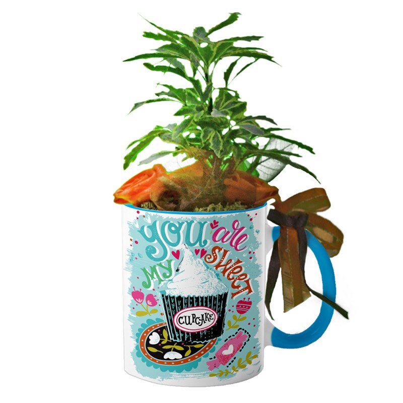 Cana interior Albastru deschis 