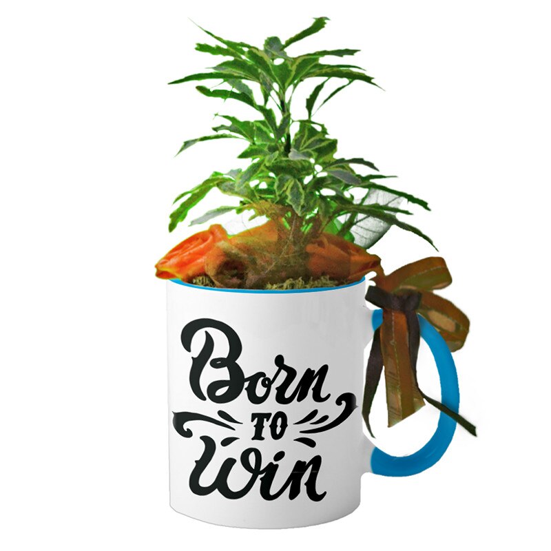 Cana Interior Albastru deschis 