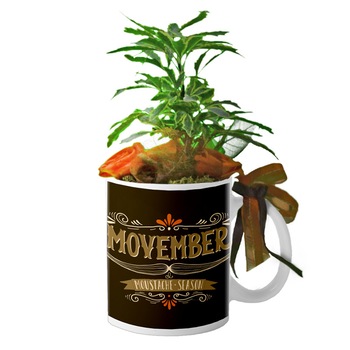 Cana Alba  Cana Alba