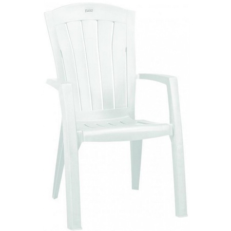 a fehér féreg széke