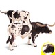 Figurina model taur plastic alb si maro, 16x6x8cm
