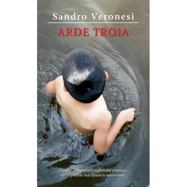 Arde Troia - Sandro Veronesi