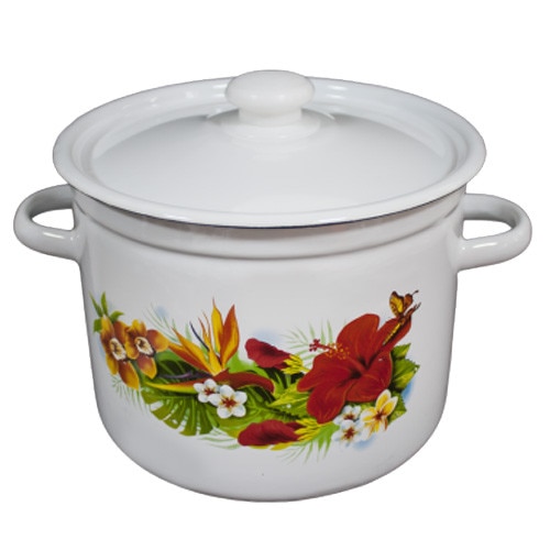 Oala emailata cu capac NOVOMOSKOVSK 5,5L decor URANIA