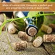 Set 100 dopuri din pluta naturala pentru sticle de vin, reutilizabile si ecologice, etansare sigura pentru vinuri de casa sau colectii, 2.2 x 3.3 cm
