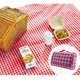 Covor de picnic si plaja, impermeabil pe ambele parti, pliabil, cu maner, 200×150 cm, Material Premium– rosu cu carouri albe