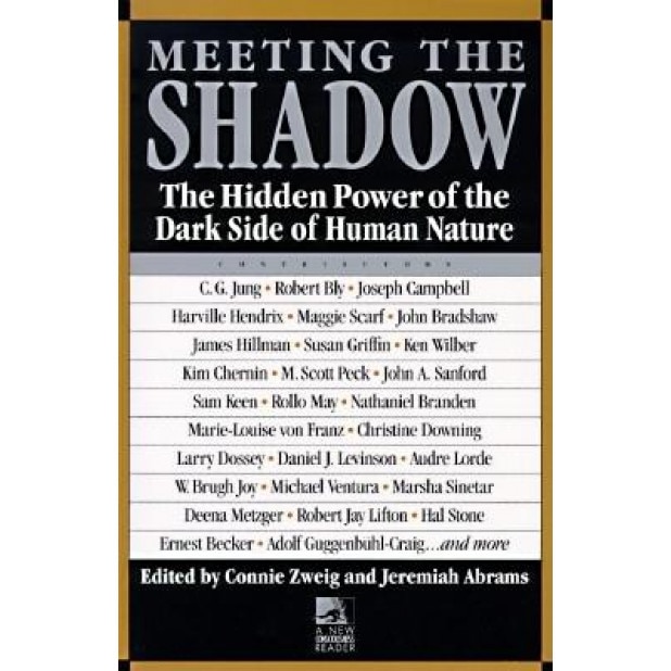 Meeting the Shadow -
