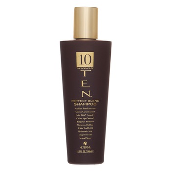 Sampon Alterna Ten Perfect Blend Shampoo hranitor pentru par pentru toate tipurile de par 250 ml Sampon Alterna Ten Perfect Blend Shampoo hranitor pentru par pentru toate tipurile de par 250 ml