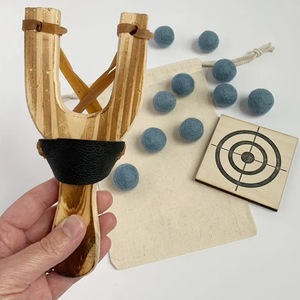 Arme sporturi de precizie