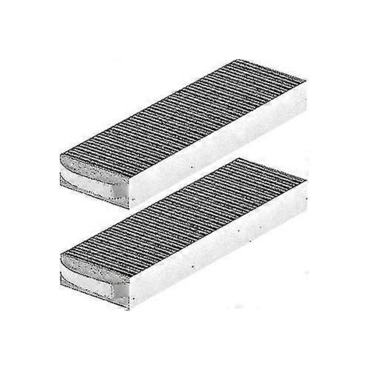 Set 2 filtre carbon activ, 425x130x50mm, pentru hota Bora Pure/X Pure/S Pure