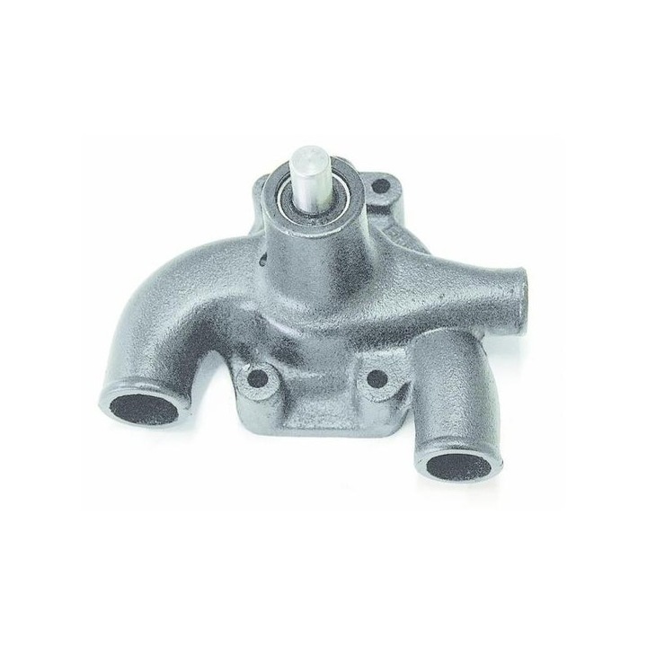 Pompa apa ama LANDINI 41312536 10161